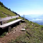 Eichingerbauer